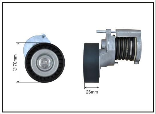 Caffaro 100100SP - Натяжитель, поликлиновый ремень mashina-shop.ru