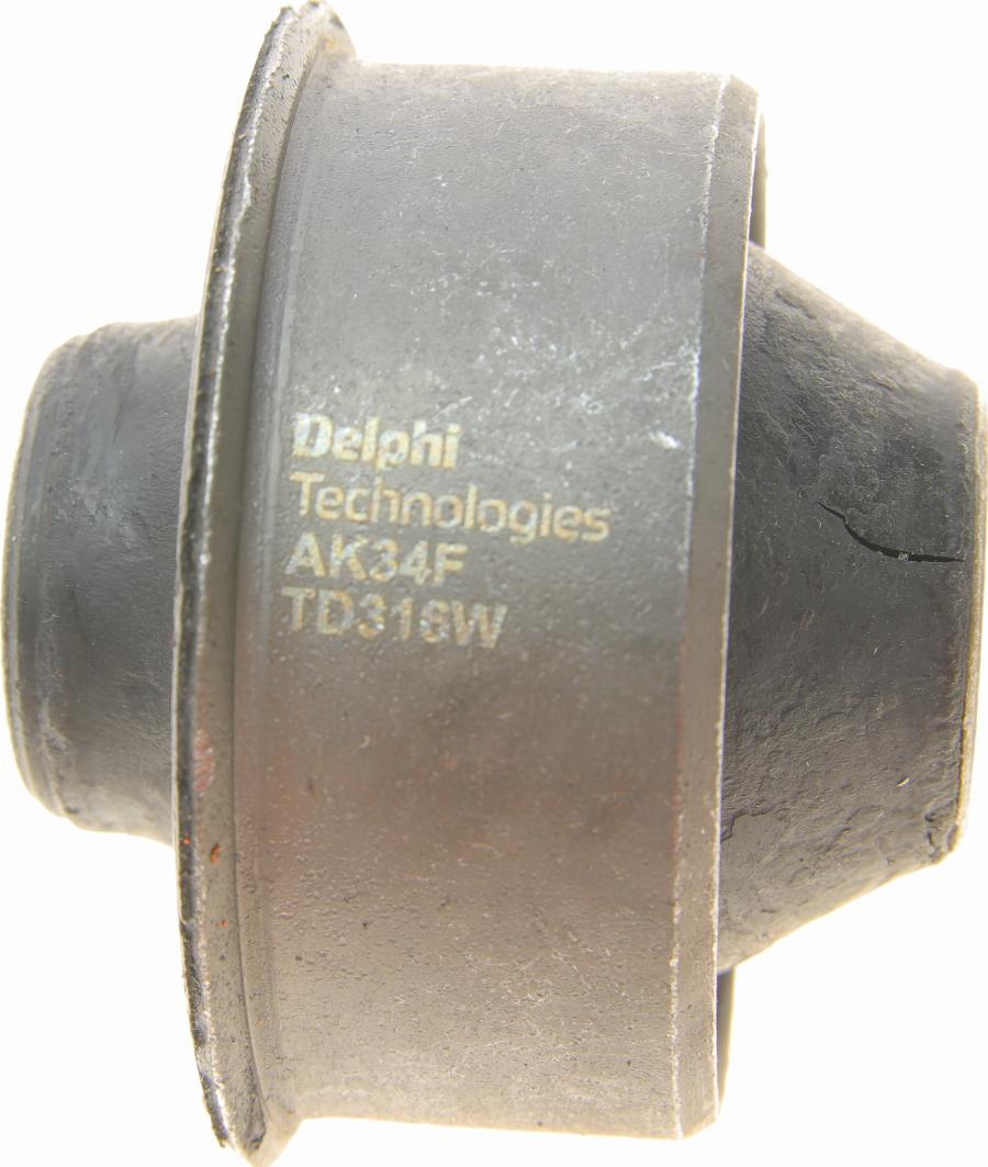 Delphi TD316W - Сайлентблок, рычаг подвески колеса mashina-shop.ru