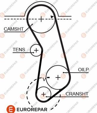 EUROREPAR 1633136980 - Зубчатый ремень ГРМ mashina-shop.ru