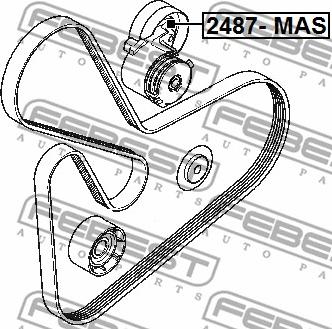 Febest 2487-MAS - Ролик, поликлиновый ремень mashina-shop.ru