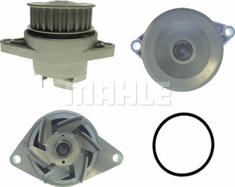 MAHLE CP 10 000P - Водяной насос mashina-shop.ru