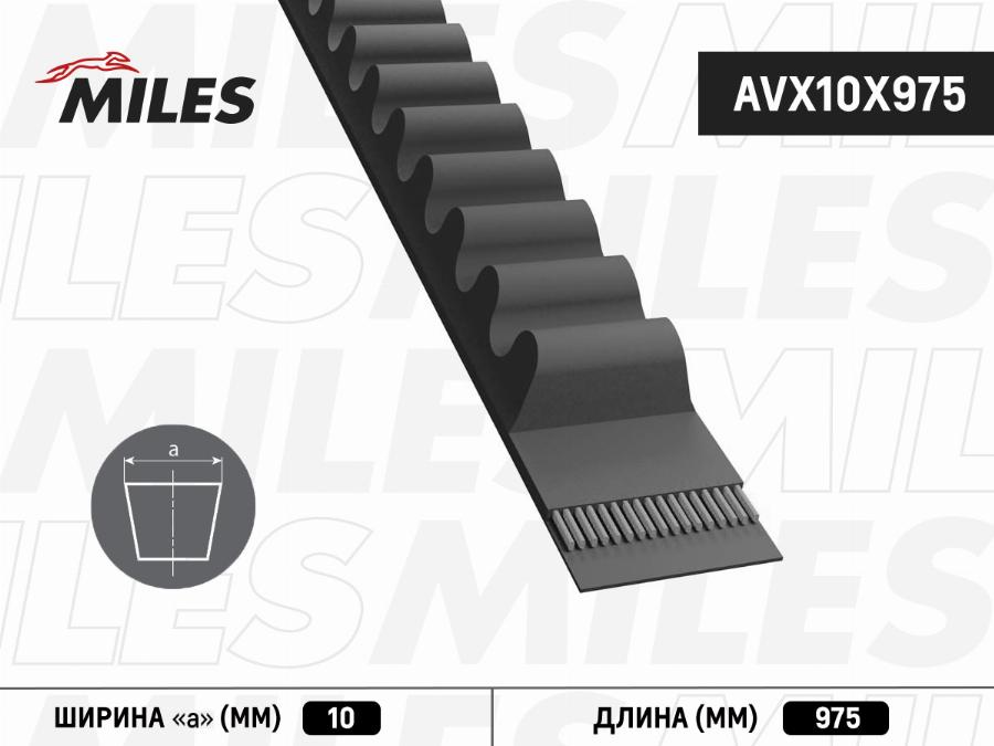 Miles AVX10X975 - Клиновой ремень, поперечные рёбра mashina-shop.ru