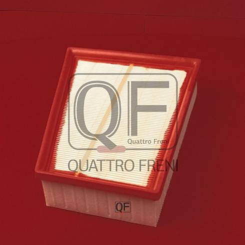 Quattro Freni QF36A00137 - Воздушный фильтр, двигатель mashina-shop.ru