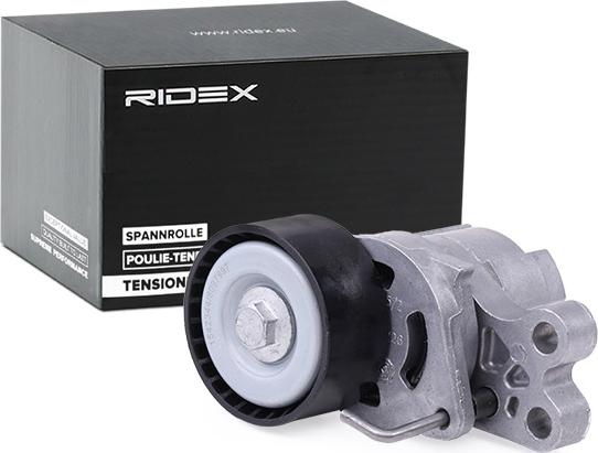 RIDEX 310T0056 - Натяжитель, поликлиновый ремень mashina-shop.ru