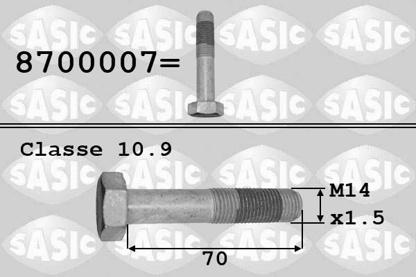 Sasic 8700007 - Болт шкива mashina-shop.ru