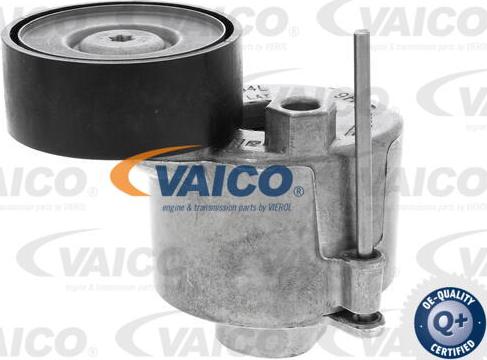 VAICO V10-6499 - Натяжитель, поликлиновый ремень mashina-shop.ru